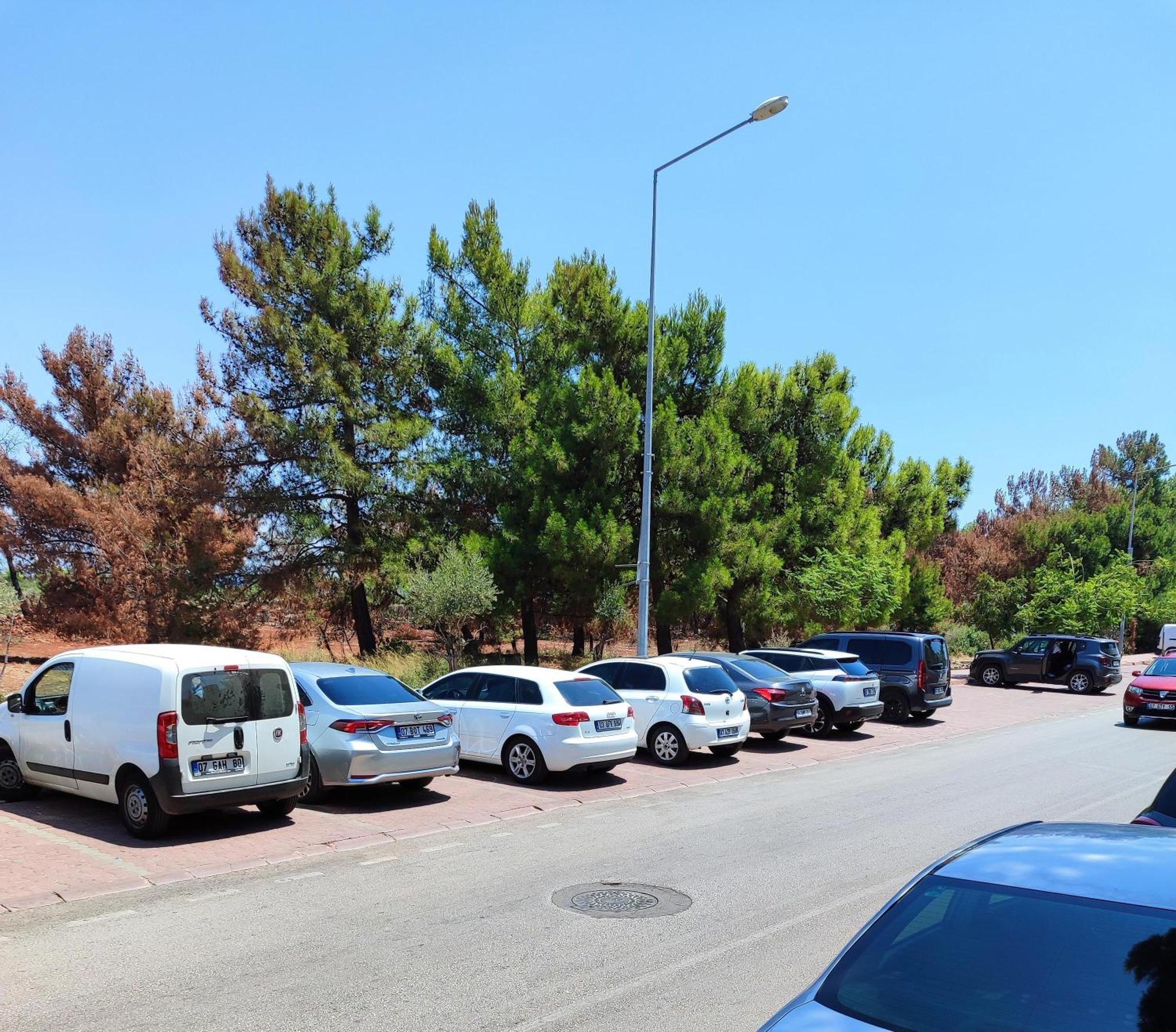 Rega Otel Antalya Kültér fotó